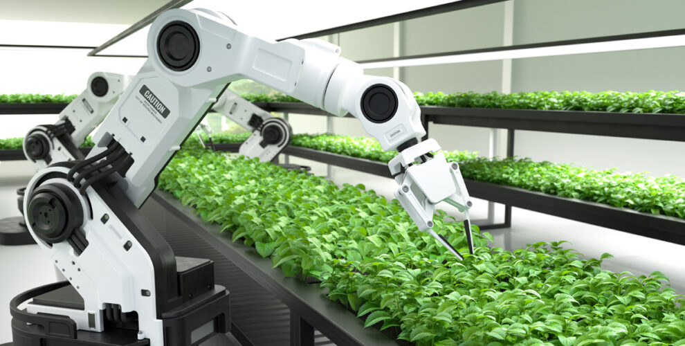 The Future of Food Technology
