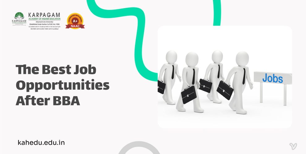 Exploring the Best Job Opportunities After BBA